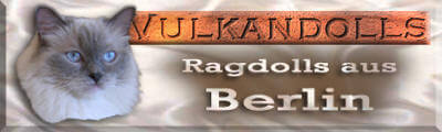 Banner Vulkandolls